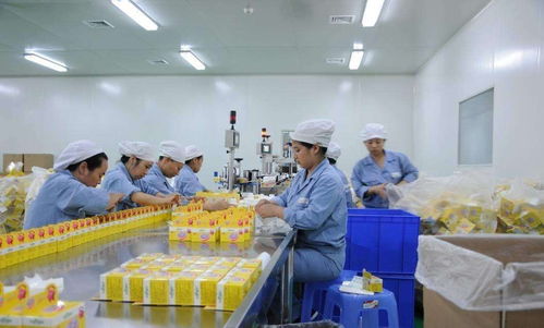 為什么聚氨酯砂漿地坪成為食品廠地面首選工藝